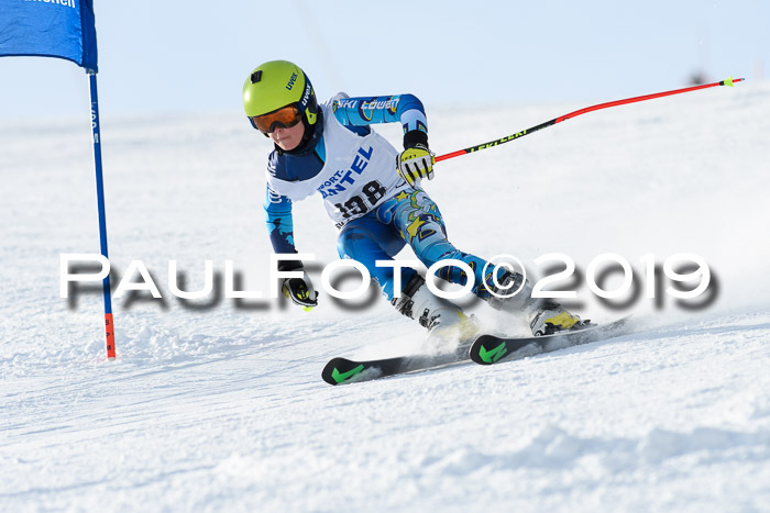 SVM U8, U10, U12, SechzgerPokal 2019