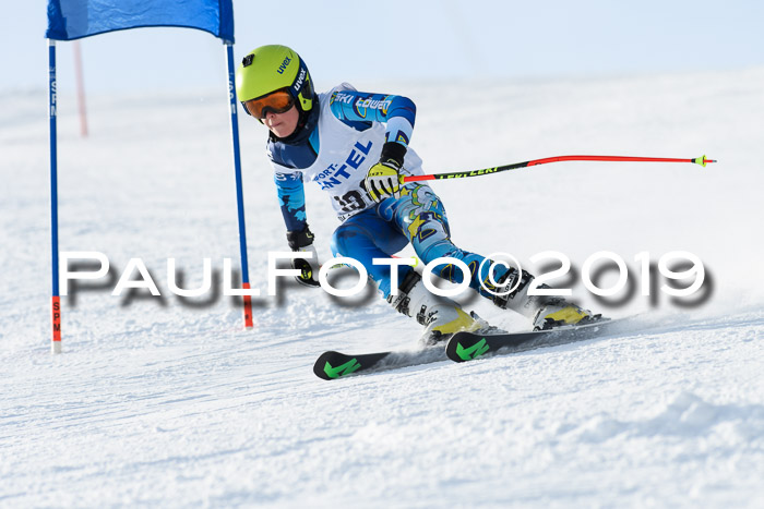 SVM U8, U10, U12, SechzgerPokal 2019