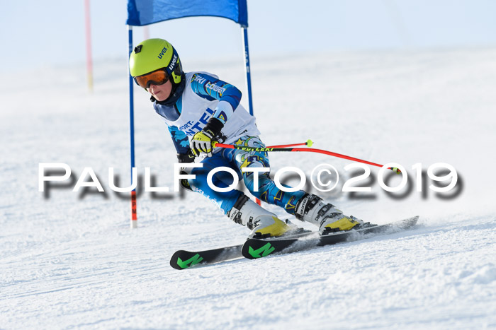 SVM U8, U10, U12, SechzgerPokal 2019