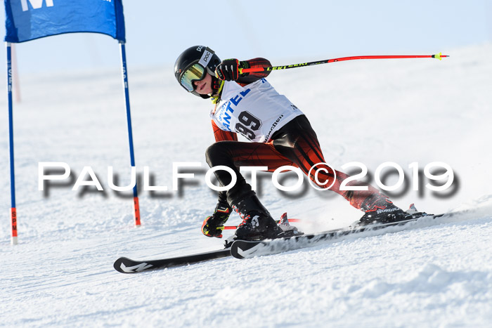 SVM U8, U10, U12, SechzgerPokal 2019