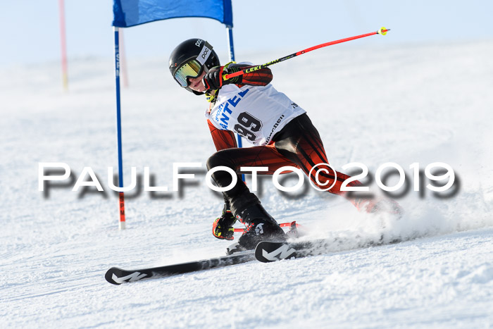 SVM U8, U10, U12, SechzgerPokal 2019