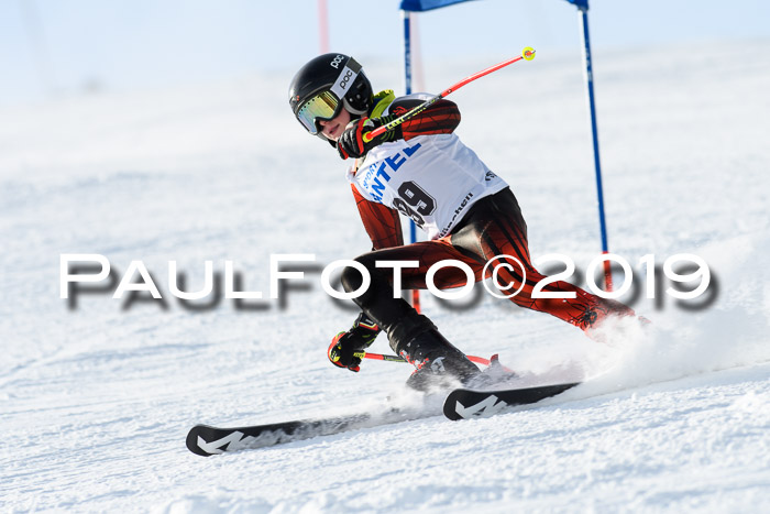 SVM U8, U10, U12, SechzgerPokal 2019