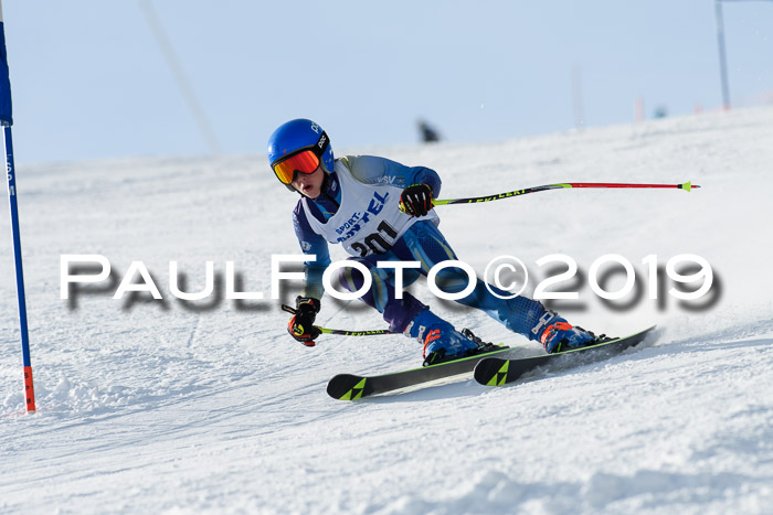 SVM U8, U10, U12, SechzgerPokal 2019