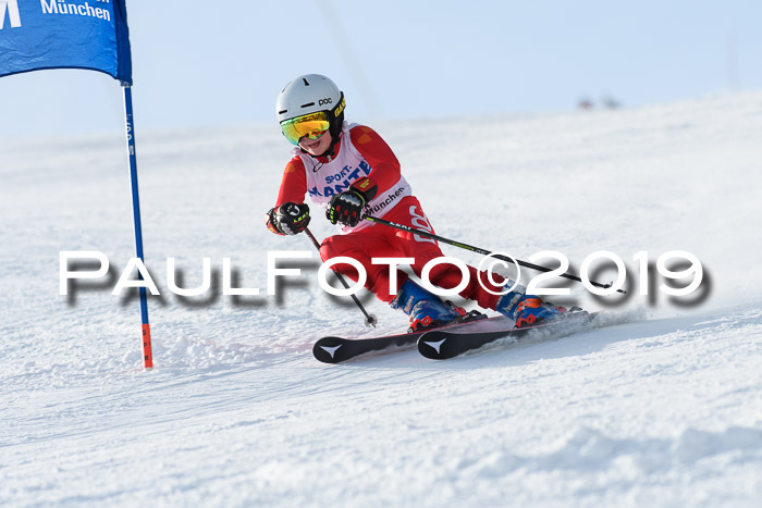 SVM U8, U10, U12, SechzgerPokal 2019