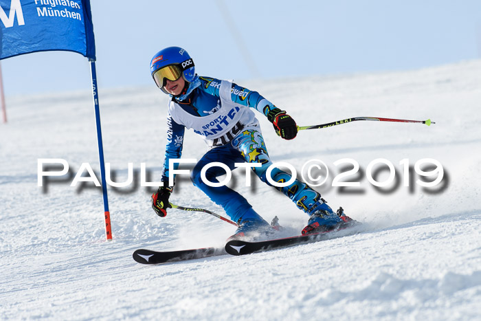 SVM U8, U10, U12, SechzgerPokal 2019