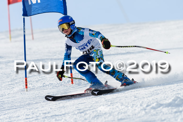 SVM U8, U10, U12, SechzgerPokal 2019