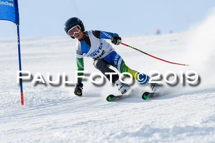 SVM U8, U10, U12, SechzgerPokal 2019