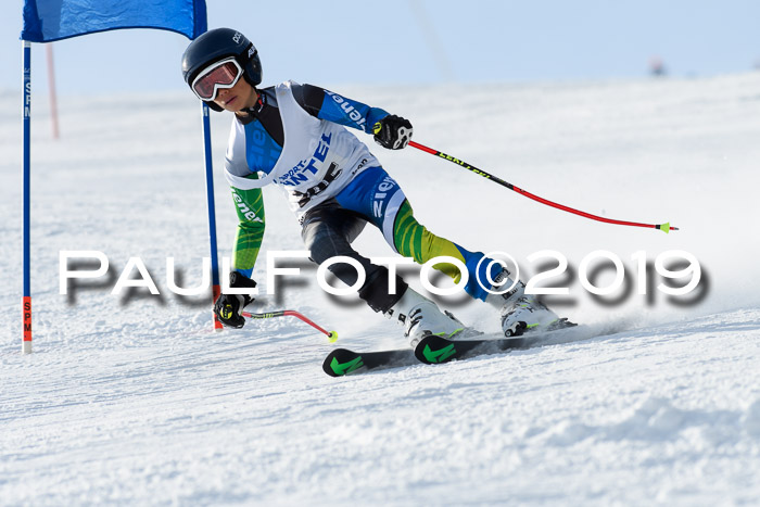 SVM U8, U10, U12, SechzgerPokal 2019