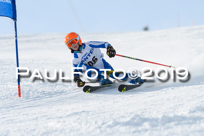 SVM U8, U10, U12, SechzgerPokal 2019