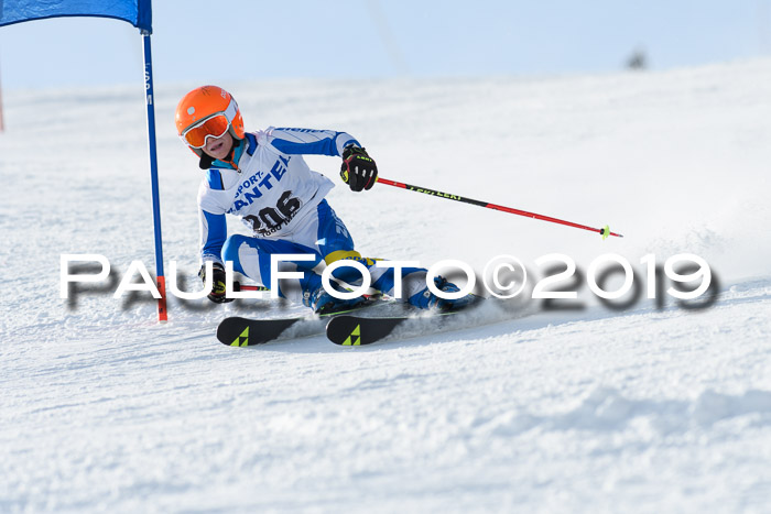 SVM U8, U10, U12, SechzgerPokal 2019