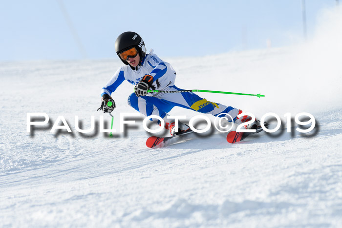 SVM U8, U10, U12, SechzgerPokal 2019