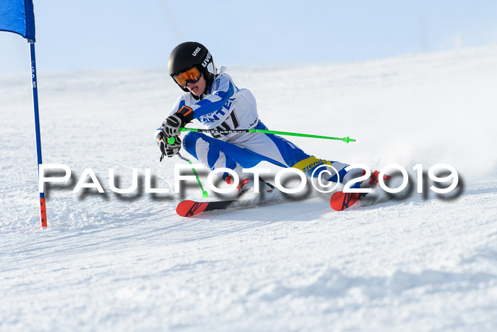 SVM U8, U10, U12, SechzgerPokal 2019