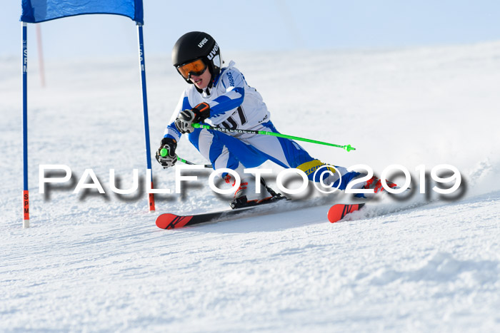 SVM U8, U10, U12, SechzgerPokal 2019