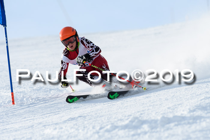 SVM U8, U10, U12, SechzgerPokal 2019