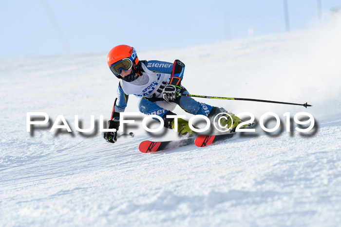 SVM U8, U10, U12, SechzgerPokal 2019