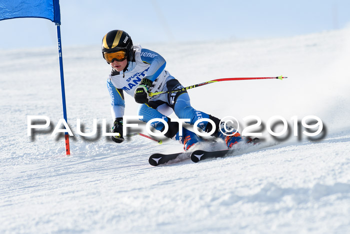 SVM U8, U10, U12, SechzgerPokal 2019