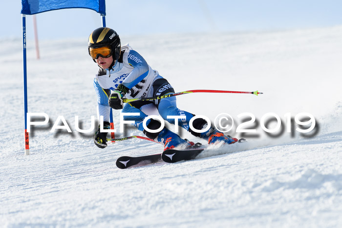 SVM U8, U10, U12, SechzgerPokal 2019