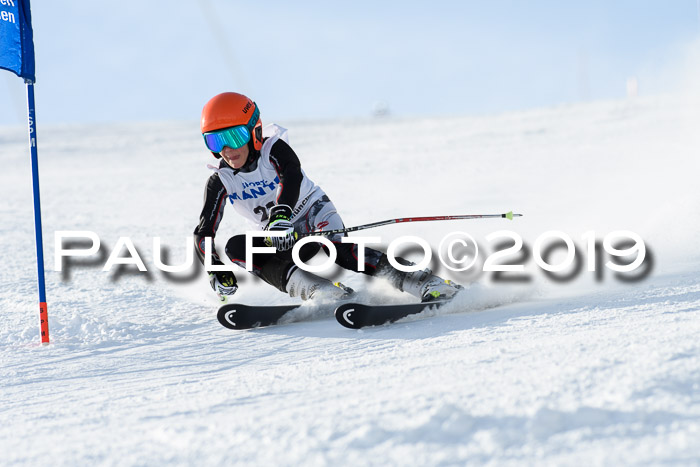 SVM U8, U10, U12, SechzgerPokal 2019