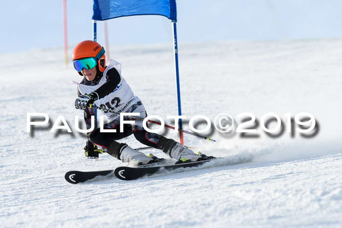 SVM U8, U10, U12, SechzgerPokal 2019