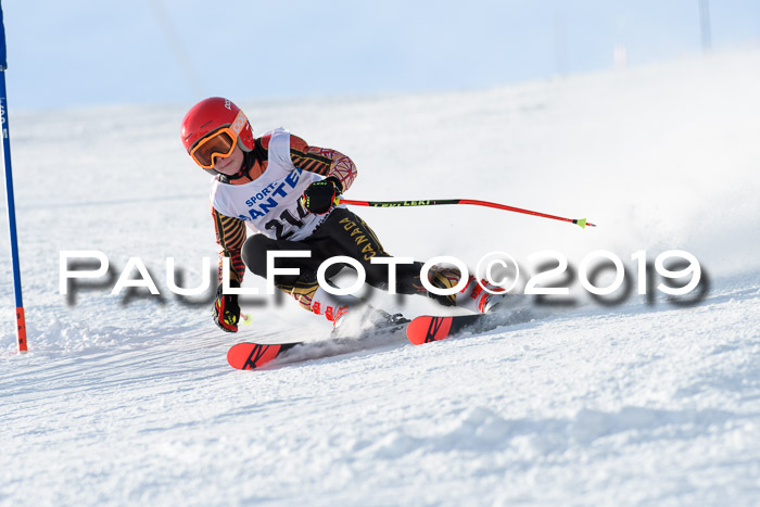 SVM U8, U10, U12, SechzgerPokal 2019