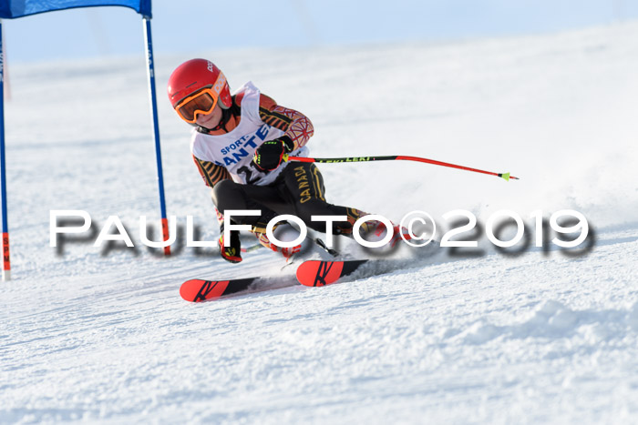 SVM U8, U10, U12, SechzgerPokal 2019