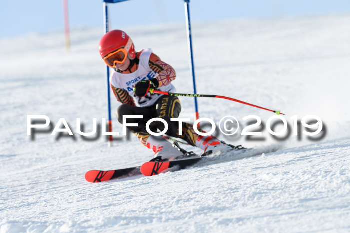 SVM U8, U10, U12, SechzgerPokal 2019