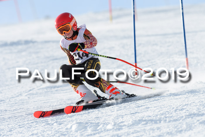SVM U8, U10, U12, SechzgerPokal 2019