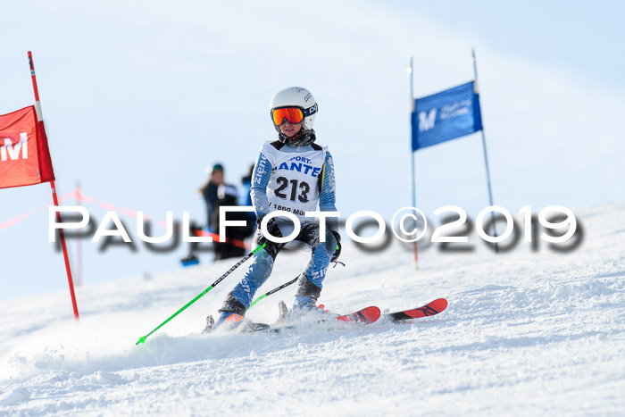 SVM U8, U10, U12, SechzgerPokal 2019