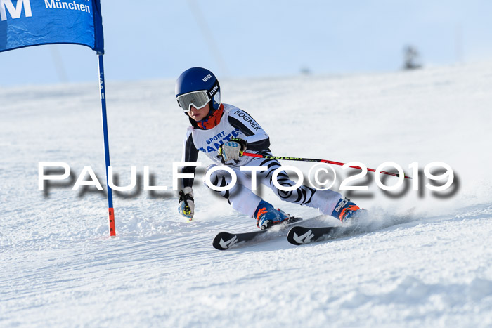 SVM U8, U10, U12, SechzgerPokal 2019