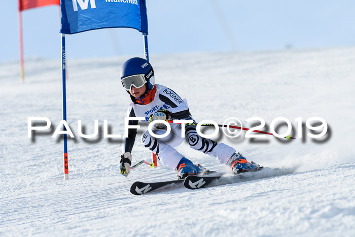SVM U8, U10, U12, SechzgerPokal 2019