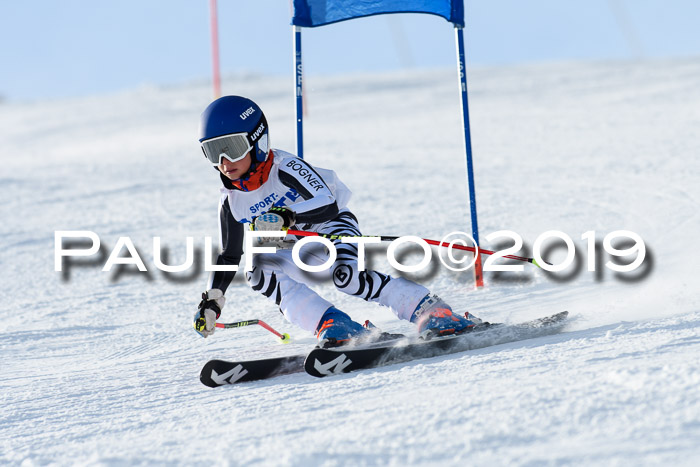 SVM U8, U10, U12, SechzgerPokal 2019