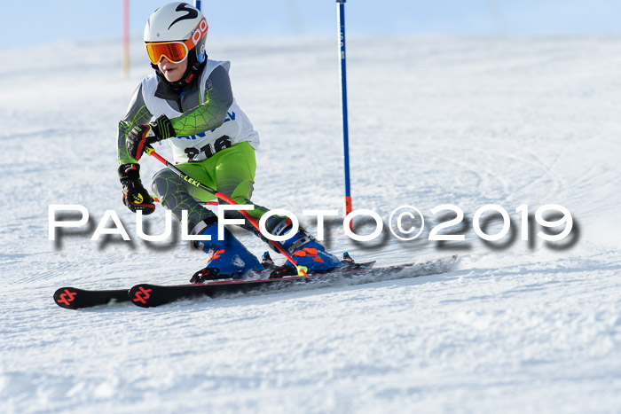 SVM U8, U10, U12, SechzgerPokal 2019