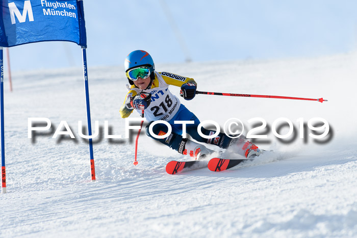 SVM U8, U10, U12, SechzgerPokal 2019