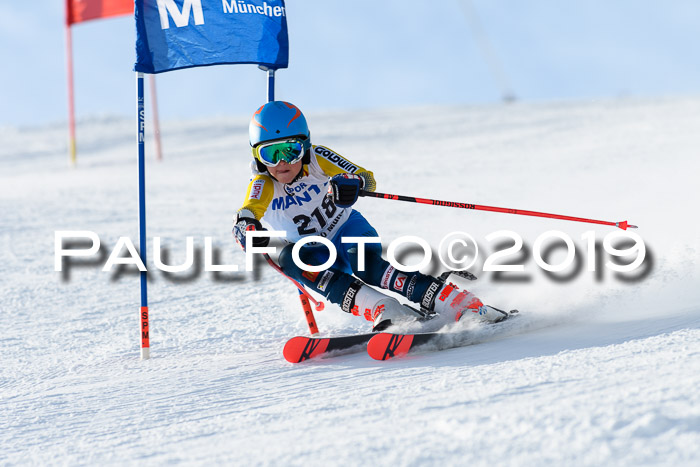 SVM U8, U10, U12, SechzgerPokal 2019