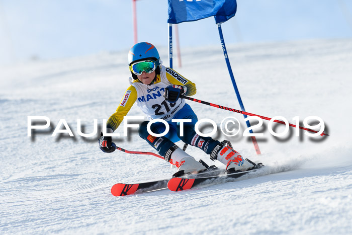 SVM U8, U10, U12, SechzgerPokal 2019