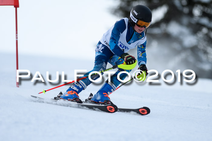 SVM U8, U10, U12, SechzgerPokal 2019