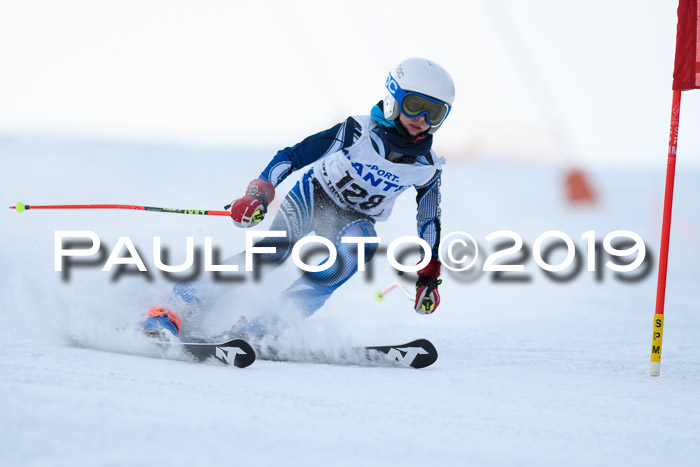 SVM U8, U10, U12, SechzgerPokal 2019