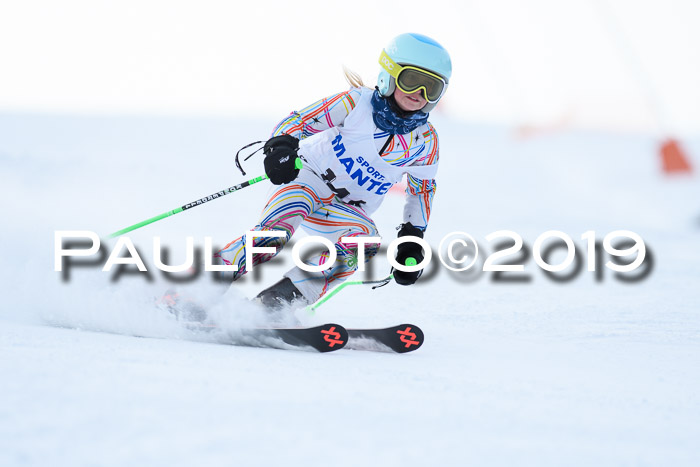 SVM U8, U10, U12, SechzgerPokal 2019