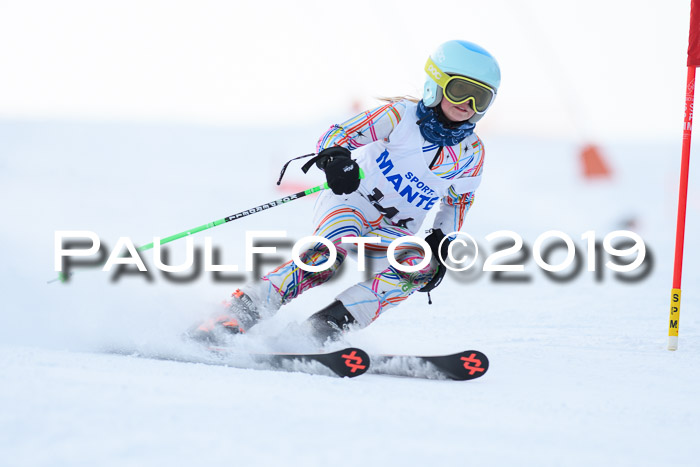 SVM U8, U10, U12, SechzgerPokal 2019