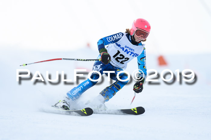 SVM U8, U10, U12, SechzgerPokal 2019