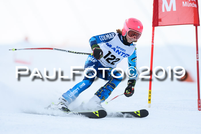 SVM U8, U10, U12, SechzgerPokal 2019
