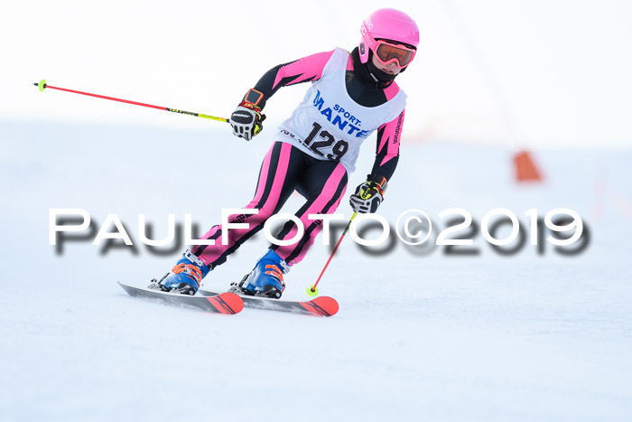 SVM U8, U10, U12, SechzgerPokal 2019