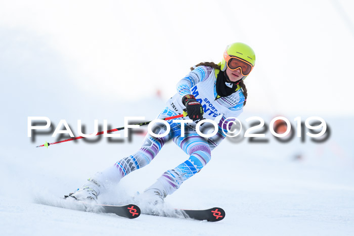 SVM U8, U10, U12, SechzgerPokal 2019