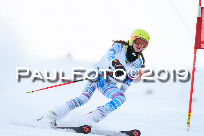 SVM U8, U10, U12, SechzgerPokal 2019