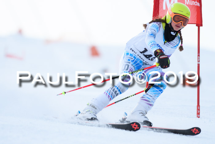 SVM U8, U10, U12, SechzgerPokal 2019
