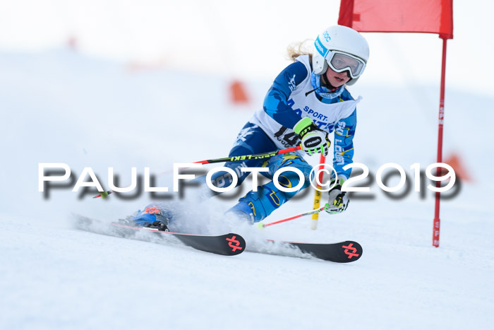 SVM U8, U10, U12, SechzgerPokal 2019