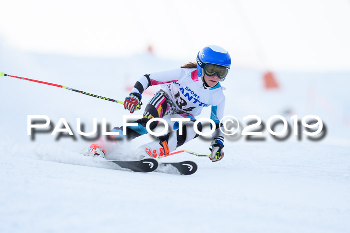 SVM U8, U10, U12, SechzgerPokal 2019
