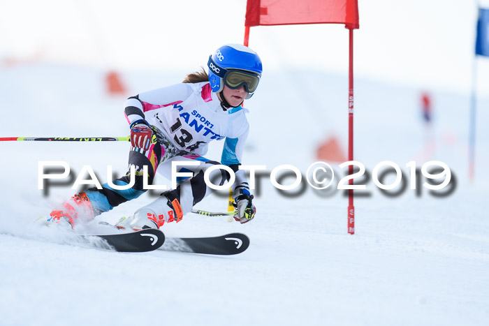 SVM U8, U10, U12, SechzgerPokal 2019