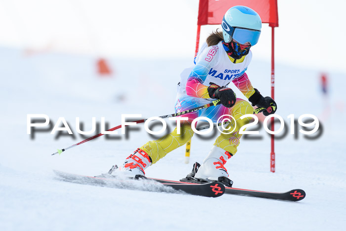 SVM U8, U10, U12, SechzgerPokal 2019