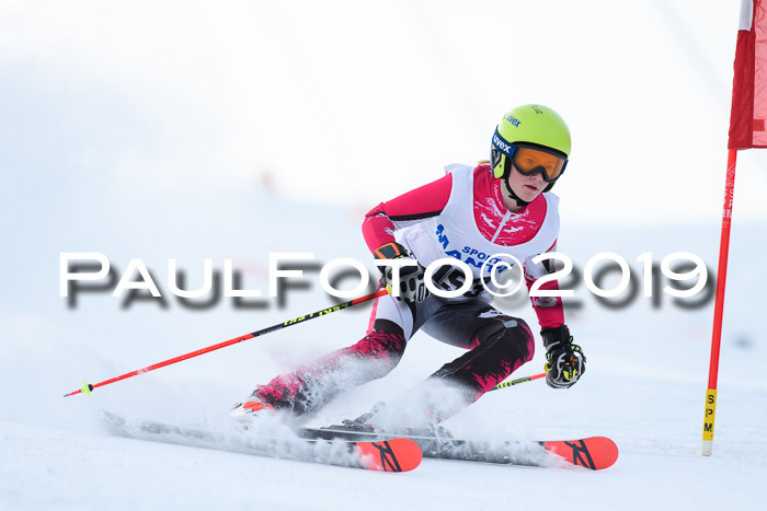 SVM U8, U10, U12, SechzgerPokal 2019